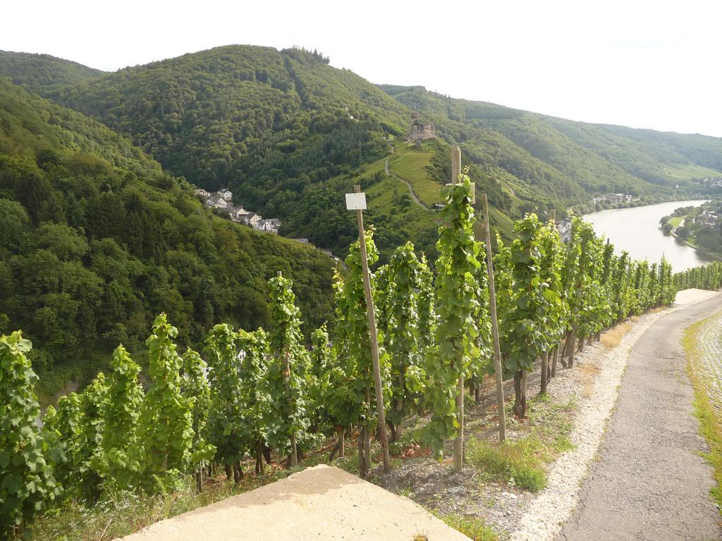 Gaestehaus Ehses Verbandsgemeinde Verbandsgemeinde Bernkastel-Kues Buitenkant foto